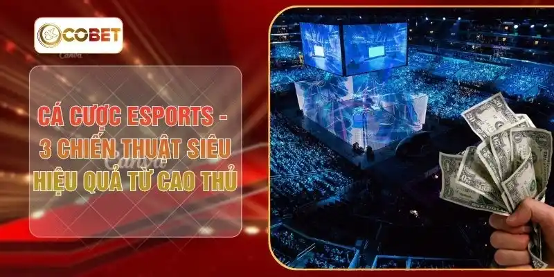 Cá Cược Esports - 3 Chiến Thuật Siêu Hiệu Quả Từ Cao Thủ