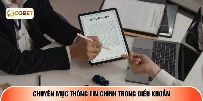 Chuyên mục thông tin chính trong điều khoản