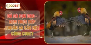 Đá Gà Cựa Dao - Xem Trực Tiếp Chuẩn 4K Sắc Nét Cùng COBET
