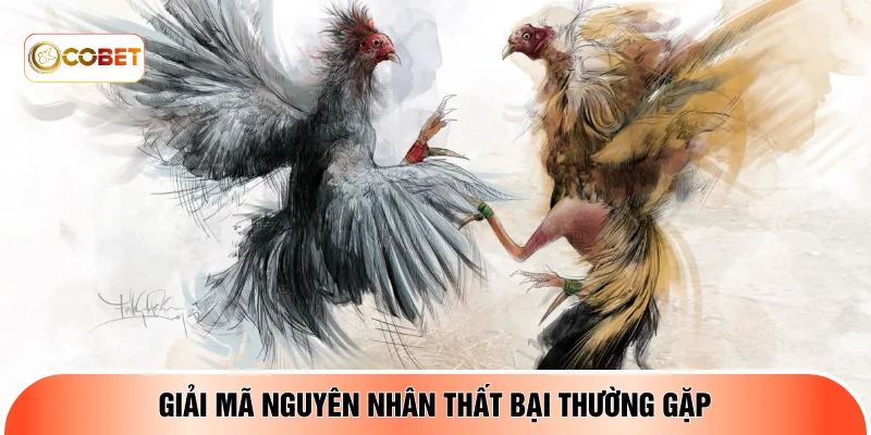 Giải mã nguyên nhân thất bại thường gặp 