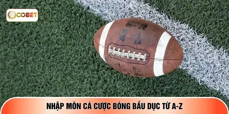 Nhập môn cá cược bóng bầu dục từ A-Z