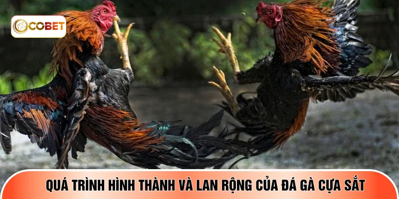 Quá trình hình thành và lan rộng của đá gà cựa sắt