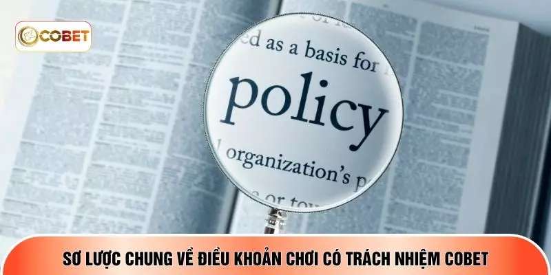 Sơ lược chung về điều khoản chơi có trách nhiệm COBET